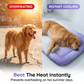 ⏰LAST DAY SALE ONLY￡7.99!!❄Pawchill™🇬🇧Pet Cooling Mat for Dogs & Cats 🐾  Naturally Cool Ice-Silk Pad • Breathable, Washable & Soft 🌿  For Floors, Sofas & Car Travel • Multiple Sizes • Gradient Colours ☀️🐶🐱
