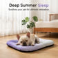 ⏰LAST DAY SALE ONLY￡7.99!!❄Pawchill™🇬🇧Pet Cooling Mat for Dogs & Cats 🐾  Naturally Cool Ice-Silk Pad • Breathable, Washable & Soft 🌿  For Floors, Sofas & Car Travel • Multiple Sizes • Gradient Colours ☀️🐶🐱