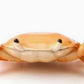 📢🎁Last Day 50% OFF🦀🔥Cute crab-shaped pen holder