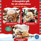 🎄Christmas New Gift Toy🐂🎁Cute Cartoon Highland Cow Cuddly Toy