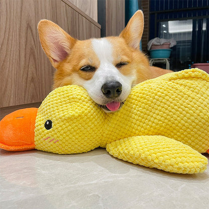 🔥The Calming Duck——PET PARTNER🐶