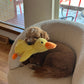 🔥The Calming Duck——PET PARTNER🐶