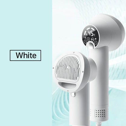 🎁Limited Time 40% OFF⏳&Free Shipping🔥Low Noise Pet Hair Dryer with Slicker Brush