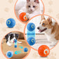🥎Interactive Pet Toy Automatic Rolling Ball