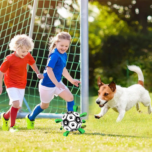 🎉Second one half price🎁🐕Dog Soccer Toy⚽