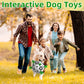 🎉Second one half price🎁🐕Dog Soccer Toy⚽