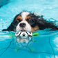 🎉Second one half price🎁🐕Dog Soccer Toy⚽