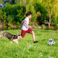 🎉Second one half price🎁🐕Dog Soccer Toy⚽
