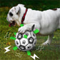 🎉Second one half price🎁🐕Dog Soccer Toy⚽