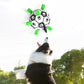 🎉Second one half price🎁🐕Dog Soccer Toy⚽