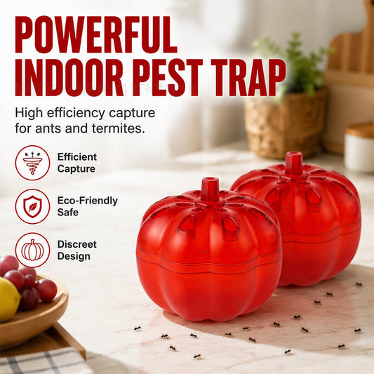 📢Buy 1 Get 1 Free‼️ Pumpkin Shaped Indoor Fruit Fly Trap
