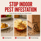 📢Buy 1 Get 1 Free‼️ Pumpkin Shaped Indoor Fruit Fly Trap